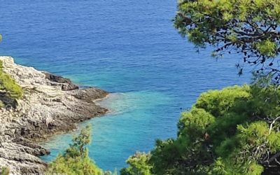 Alle Tremiti con il Saraghina Sub A.S.D.!