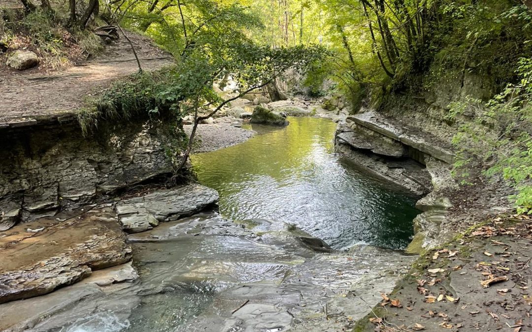 Addestramento congiunto di Protezione Civile su scenari di rischio idrogeologico – Unione Valle del Savio