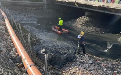 Cesenatico 18.11.2023 – Viale Roma “Ponte Trieste” sulla Vena Mazzarini – Volontari del Centro Soccorso Sub all’opera a tutela della fauna marina